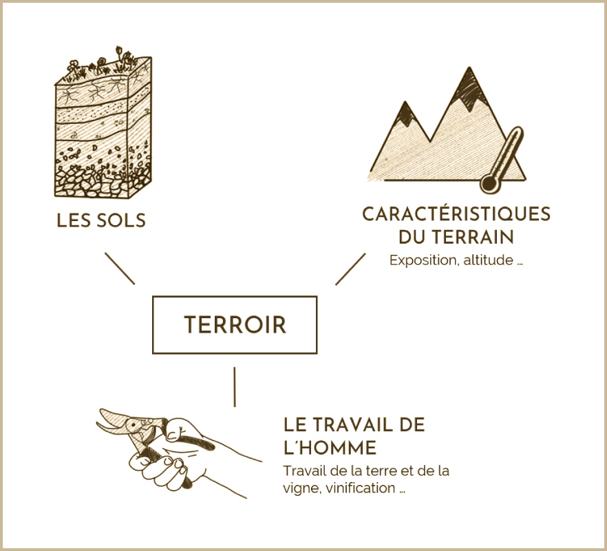 Facteurs des terroirs du Beaujolais