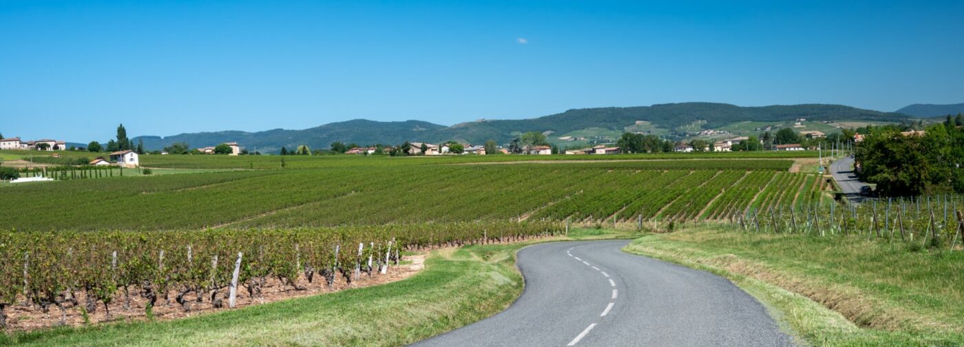 landscape,with,vineyards,and,houses,near,beaujolais,wine,making,village